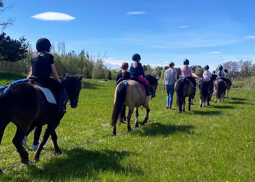 Förälder leder ponny